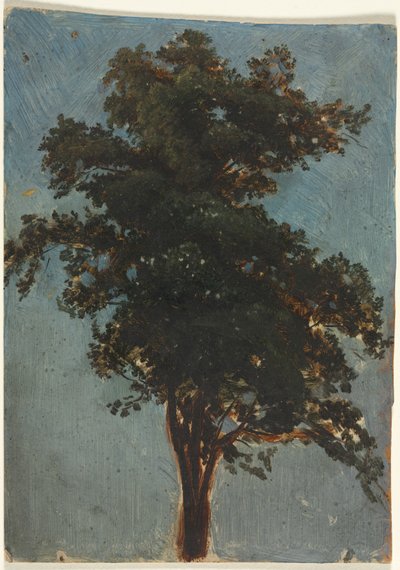 Baumstudie von attributed to Alexandre Calame