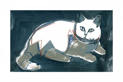 Künstlerische weiße Katze von cartissi