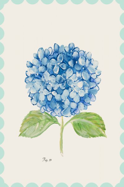 Blaue Hortensien-Illustration von cartissi