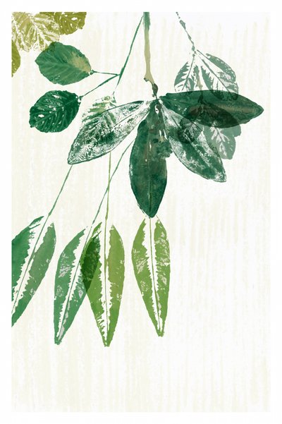 Botanische grüne Blätter von cartissi