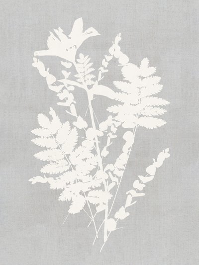 Botanische Silhouettenstudie von cartissi