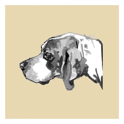 Elegantes Hundeprofil von cartissi
