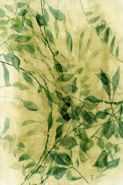 Grüne Aquarellblätter von cartissi