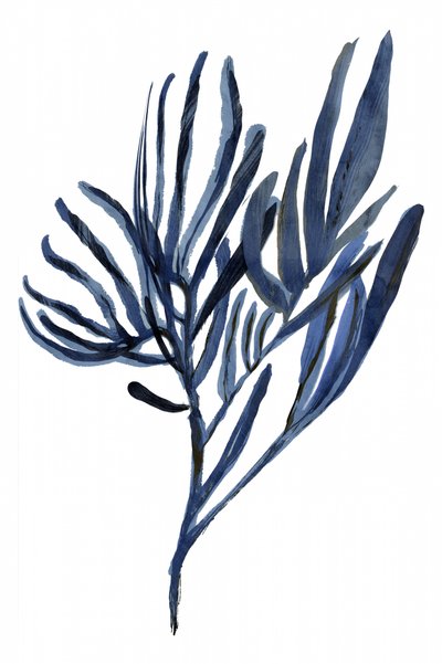 Indigo Botanische Zweige von cartissi