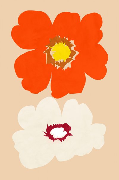 Orange und Weiße Blüten von cartissi