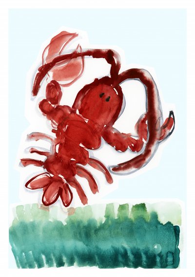 Roter Hummer Aquarell von cartissi