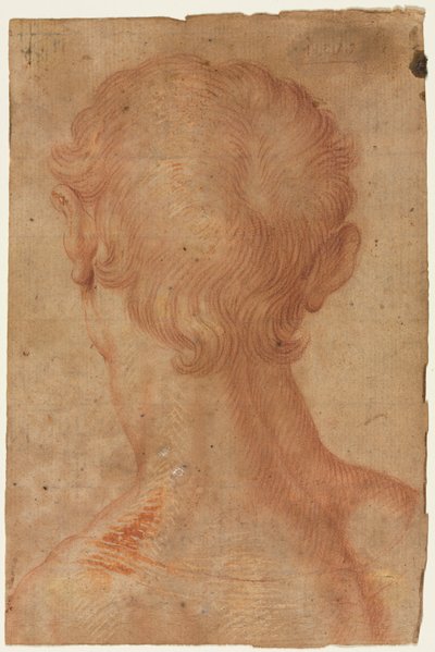 Männerkopf von hinten von copy after Agnolo Bronzino
