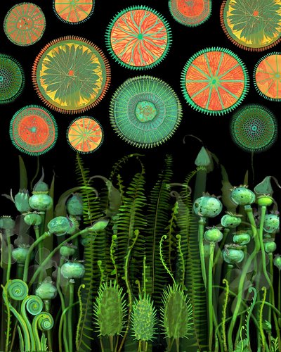 Fantasie Botanische Muster von giovanna nicolo
