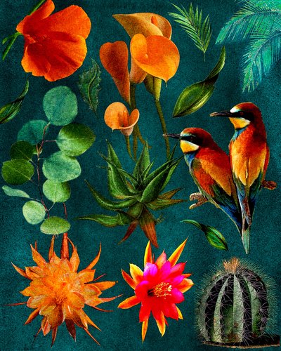 Tropische Vögel und Blüten von giovanna nicolo