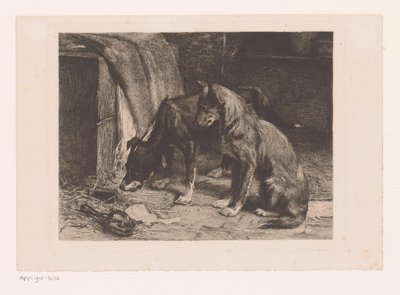 Zwei Hunde bei einer Rattenfalle von van den Eyken (attributed to)