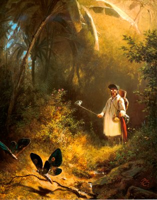 Der Schmetterlingsfänger von Carl Spitzweg