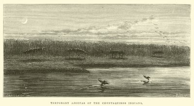 Vorübergehende Ajoupas der Chontaquiros-Indianer von Edouard Riou