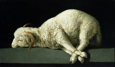 Agnus Dei, c.1635-40 von Francisco de Zurbaran
