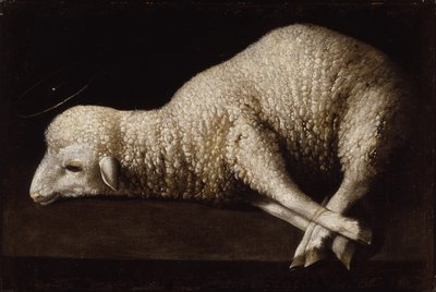 Agnus Dei, c.1635-40 von Francisco de Zurbaran