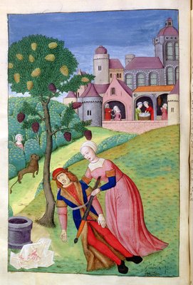 Quick Change Shorter Metamorphoses Ovid Illustrated Univ Of