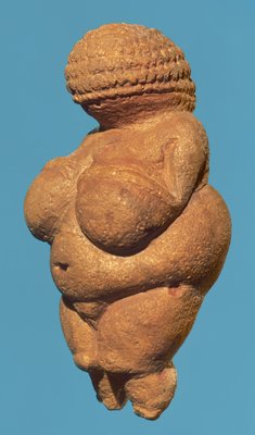 Die Venus Von Willendorf Seitenansicht Der Weiblichen 401