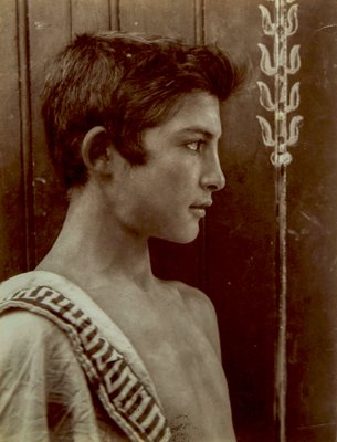 Porträt eines sizilianischen Jungen, c.1897 von Baron Wilhelm von Gloeden