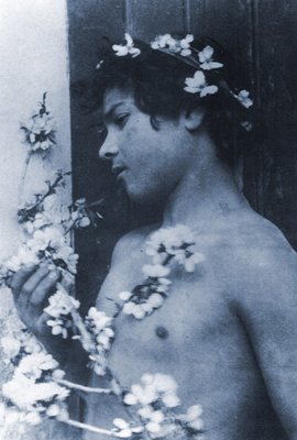Studie eines jungen Jungen mit Blumen in seinem Haar, c.1899 (Cyanotyp) von Baron Wilhelm von Gloeden