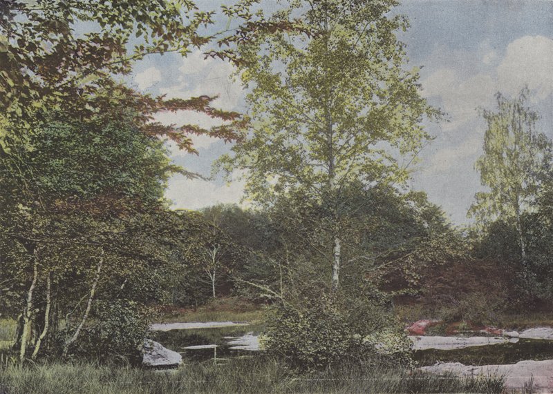 La mare aux Fees von (after) French Photographer