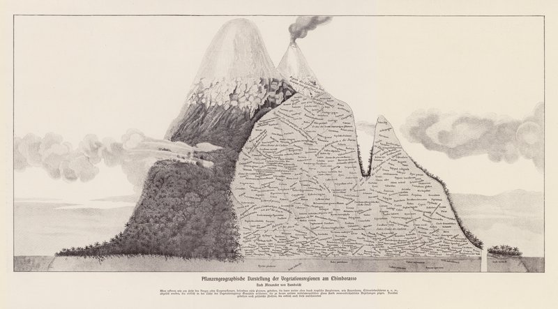 Vegetationsregionen von Chimborazo, Ecuador von (after) German School