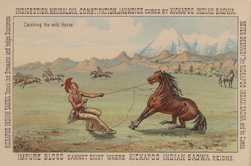 Indianer fängt ein Wildpferd von American School