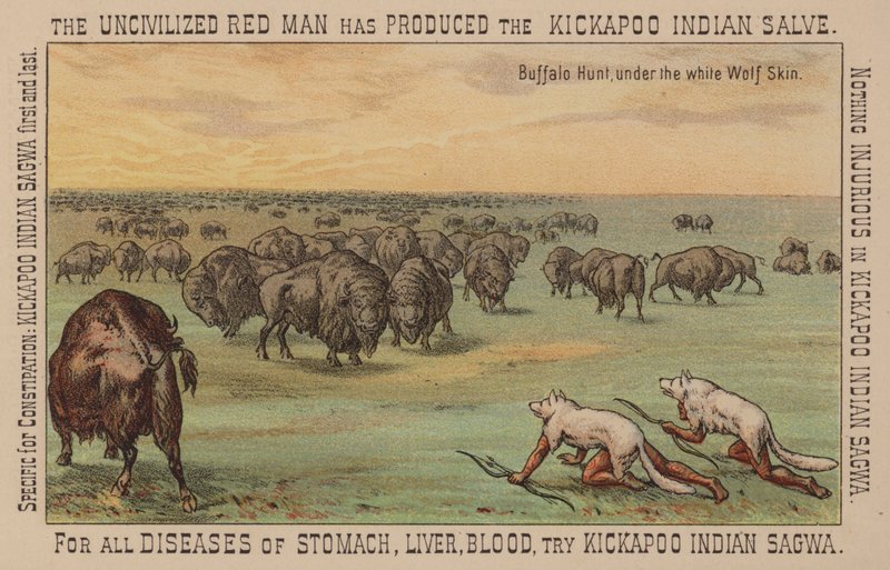 Indianer in weißen Wolfsfellen jagen Büffel von American School