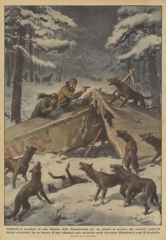 Gezwungen, in einem Wald in Transsilvanien wegen eines Motorschadens zu landen? von Achille Beltrame