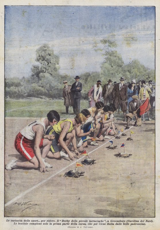 Die Kuriositäten des Sports? zum Lachen von Achille Beltrame