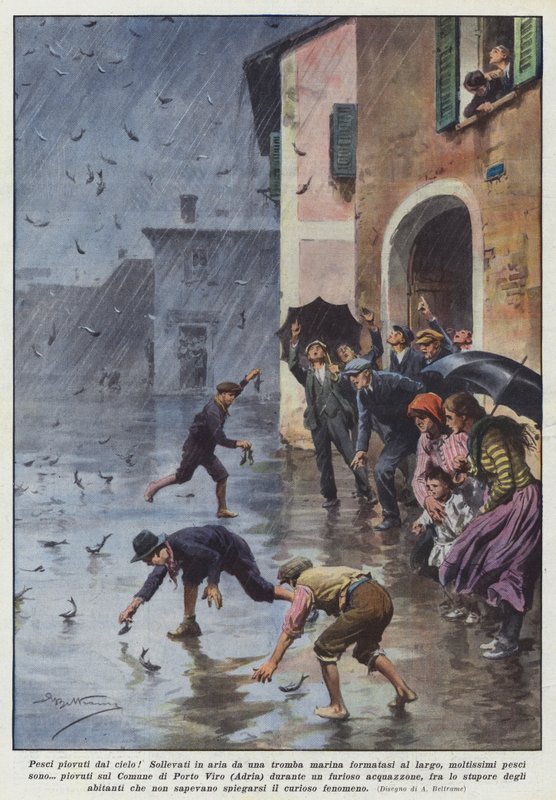 Fische, die vom Himmel fielen! In die Luft gehoben durch einen Meereswirbel von Achille Beltrame