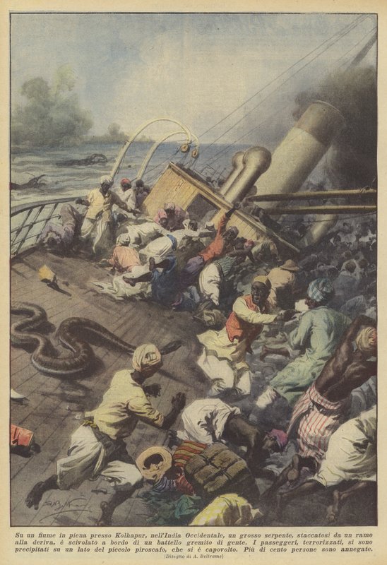 Auf einem Hochwasserfluss bei Kolhapur in Westindien, eine große Schlange, die sich? von Achille Beltrame