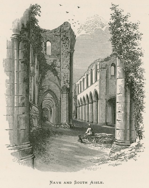 Fountains Abbey, Langhaus und Südschiff von Alexander Francis Lydon