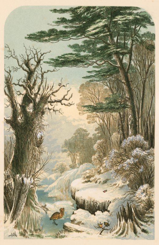 Illustration für Longfellows 