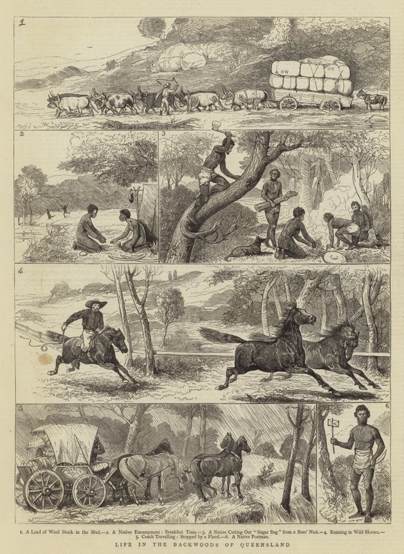 Leben im Hinterland von Queensland von Alfred Chantrey Corbould