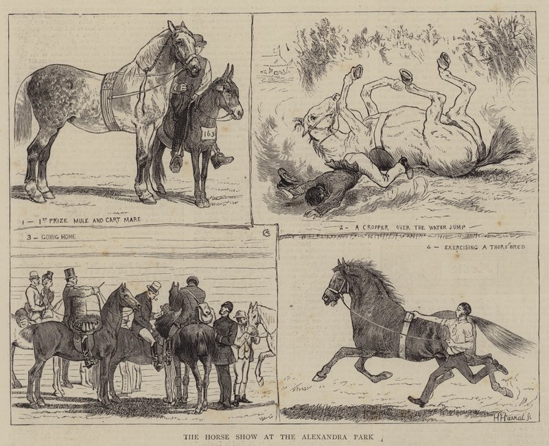 Die Pferdeschau im Alexandra Park von Alfred Chantrey Corbould