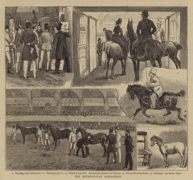 Die Metropolitan-Pferdeshow von Alfred Chantrey Corbould