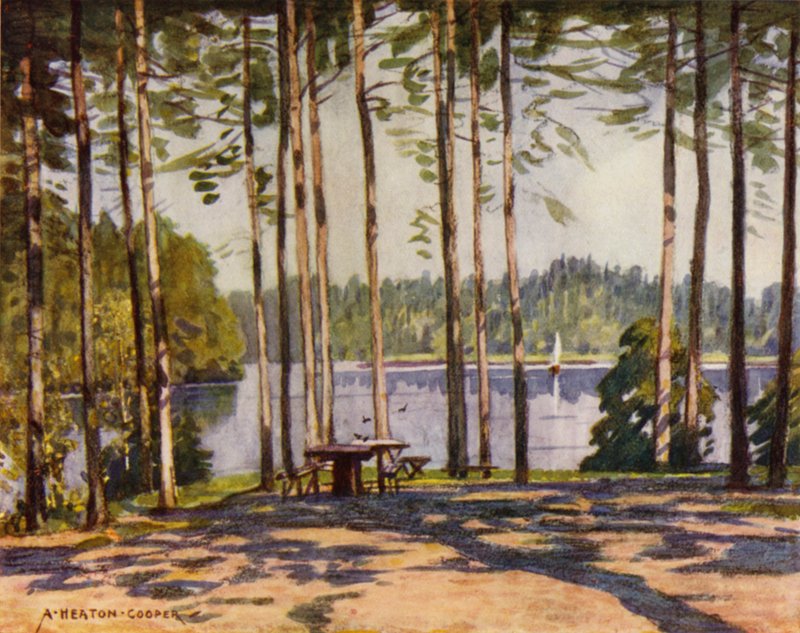 Dänemark: Gribskov, Der Königspavillonsee von Alfred Heaton Cooper