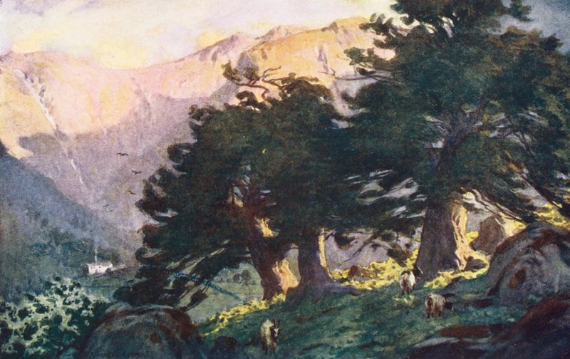 Lake District: Die Borrowdale Eiben, Abend von Alfred Heaton Cooper
