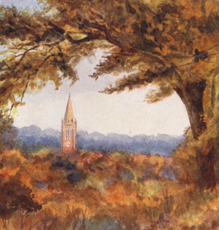New Forest: Lyndhurst Kirche vom Cut Walk, November von Alice Julia Argles
