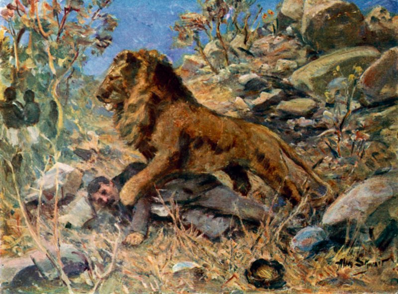 David Livingstone, Livingstone und der Löwe von Allan (after) Stewart