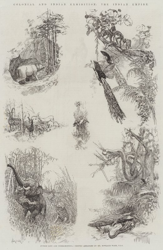 Kolonial- und Indische Ausstellung, das Indische Reich von Amedee Forestier