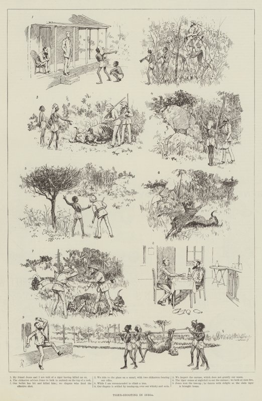 Tigerjagd in Indien von Amedee Forestier