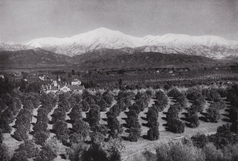 Kalifornien: Redlands, von Smiley Heights, Sonnenschein, Orangenhaine und schneebedeckte Gipfel von American Photographer (after)