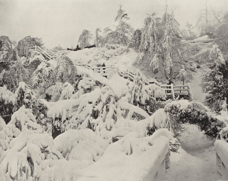 Winterlaub auf Luna Island von American Photographer (after)