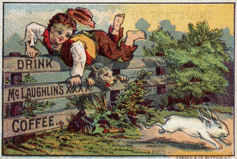 Junge und Hund jagen Kaninchen von American School