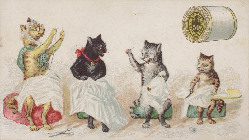 Vier beschäftigte Katzen beim Nähen von American School