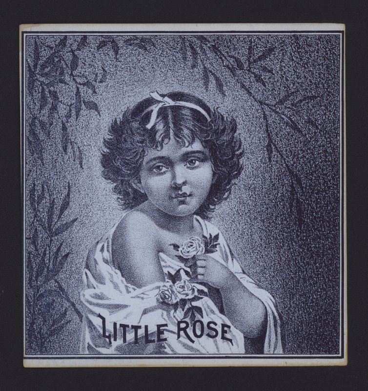 Kleine Rose, Zigarrenetikett von American School