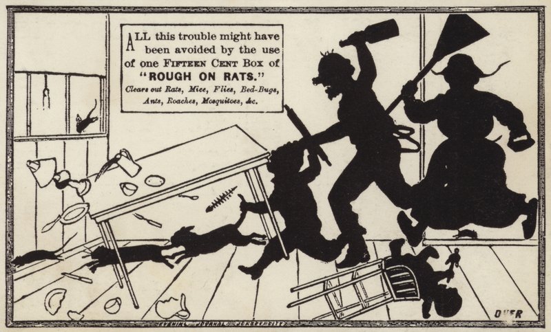 Rough On Rats von American School