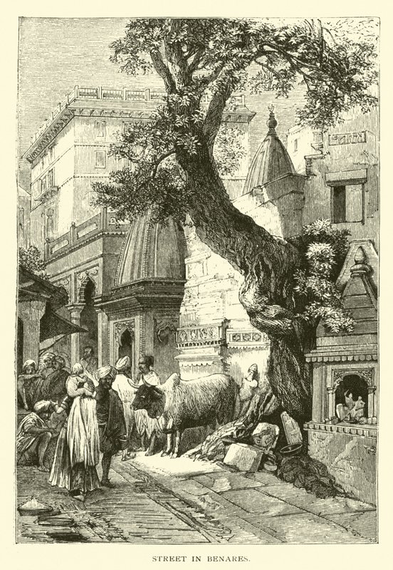 Straße in Benares von American School