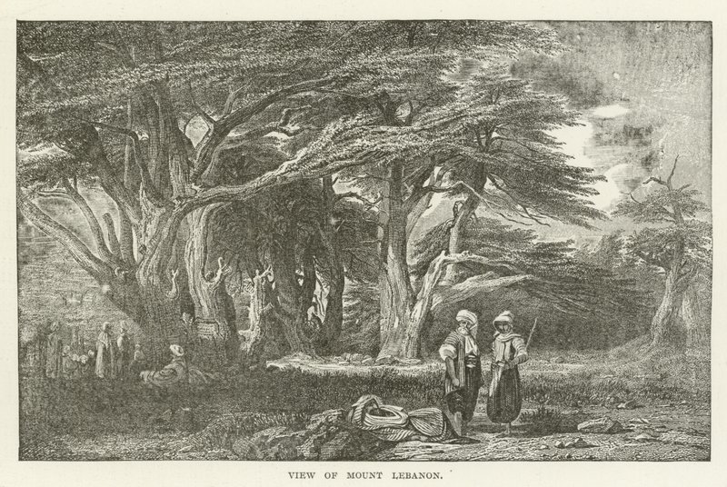 Blick auf den Libanon von American School