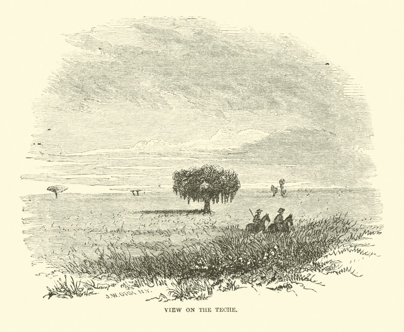 Ansicht auf den Teche, April 1863 von American School